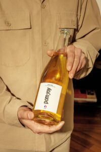 pomjoy-191-Modifica copie